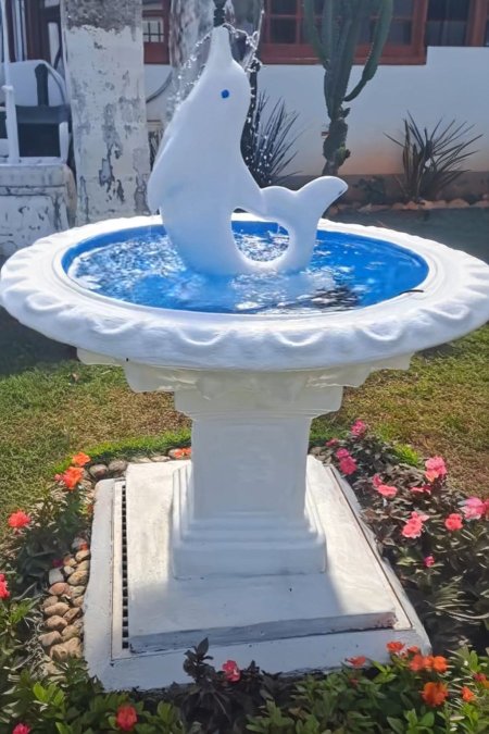 🐬 نافورة حديقة بتصميم دلفين مائي أنيق